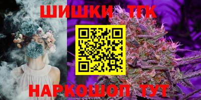 гашик Шелехов