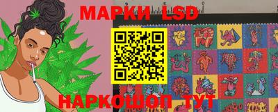 СК Шахты