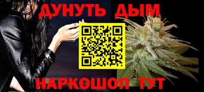 гашик Шелехов