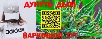 СК Шахты
